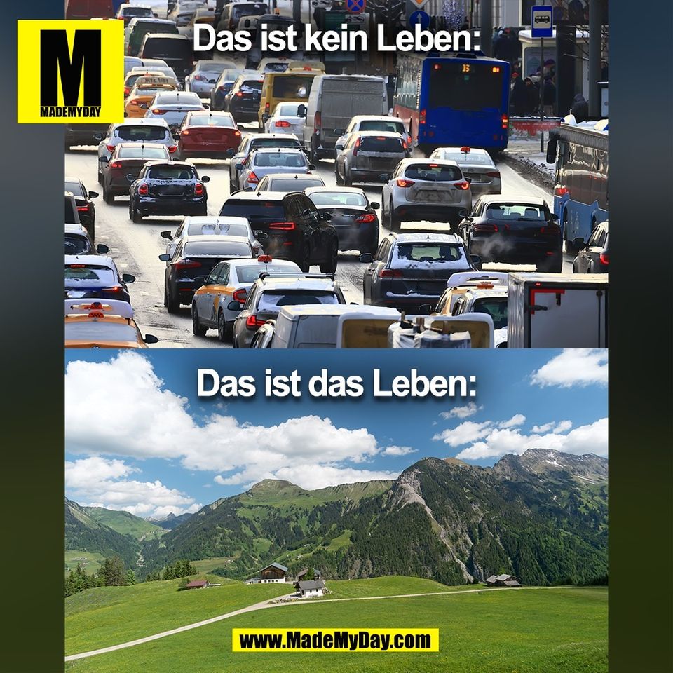 Das ist kein Leben:<br />
Das ist das Leben:<br />
(BILD)