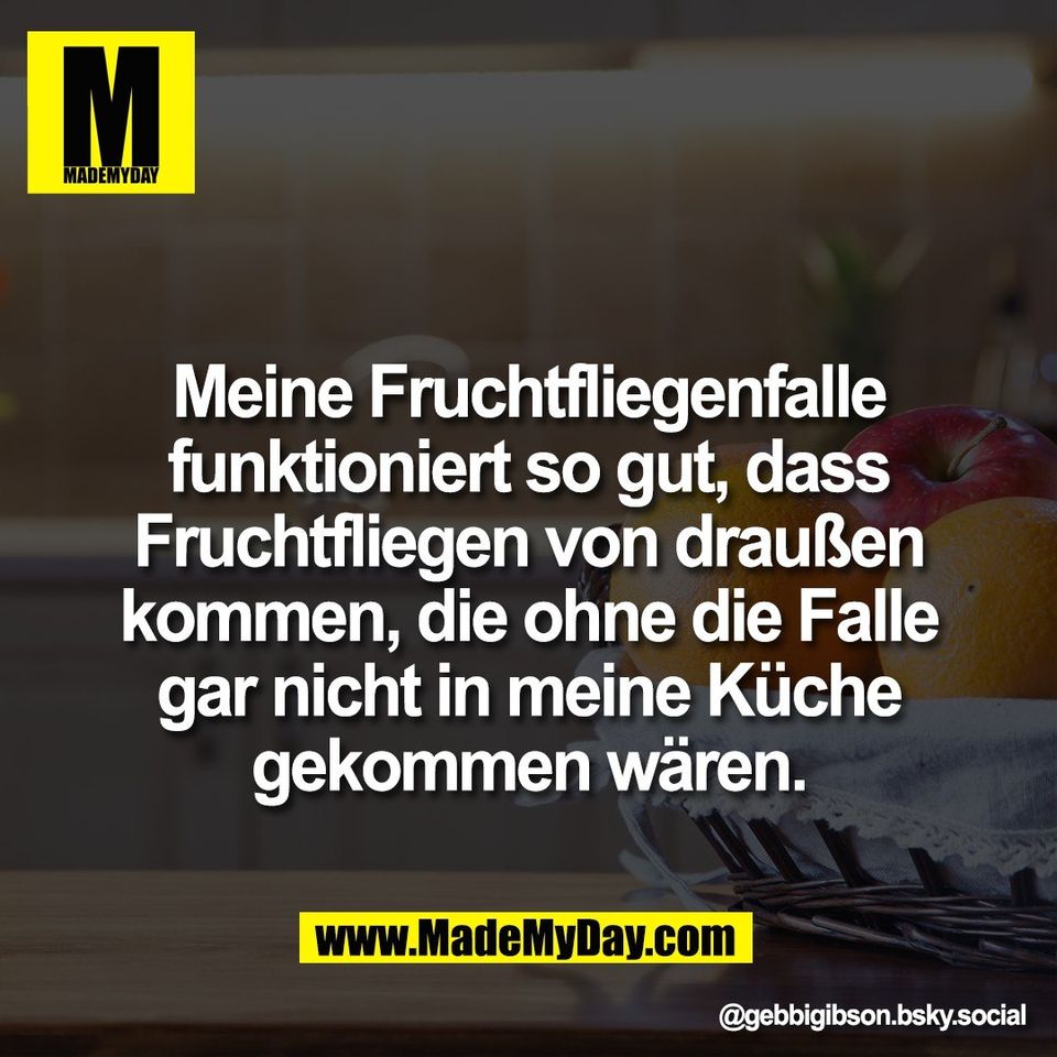 Meine Fruchtfliegenfalle<br />
funktioniert so gut, dass<br />
Fruchtfliegen von draußen<br />
kommen, die ohne die Falle<br />
gar nicht in meine Küche<br />
gekommen wären.