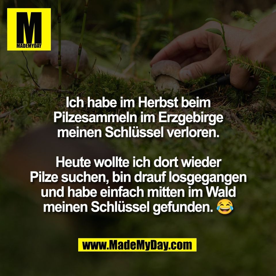 Ich habe im Herbst beim<br />
Pilzesammeln im Erzgebirge<br />
meinen Schlüssel verloren.<br />
<br />
Heute wollte ich dort wieder<br />
Pilze suchen, bin drauf losgegangen<br />
und habe einfach mitten im Wald<br />
meinen Schlüssel gefunden. 😂