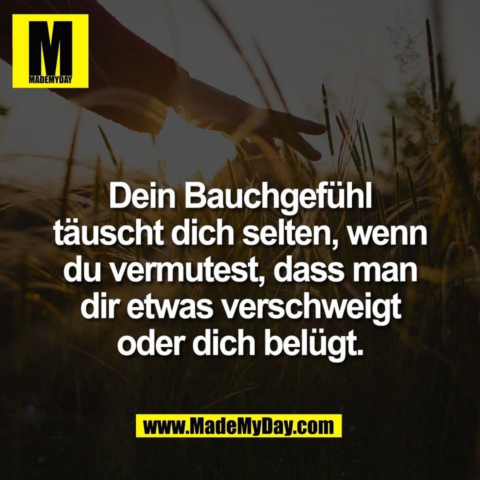 Dein Bauchgefühl<br />
täuscht dich selten, wenn<br />
du vermutest, dass man<br />
dir etwas verschweigt<br />
oder dich belügt.