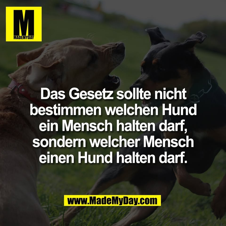 Das Gesetz sollte nicht<br />
bestimmen welchen Hund<br />
ein Mensch halten darf,<br />
sondern welcher Mensch<br />
einen Hund halten darf.