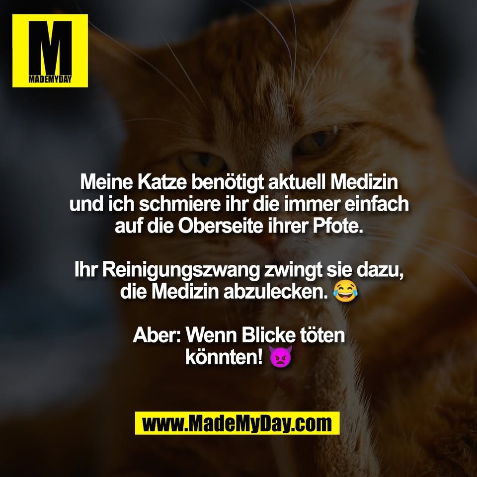 Meine Katze benötigt aktuell Medizin<br />
und ich schmiere ihr die immer einfach<br />
auf die Oberseite ihrer Pfote.<br />
<br />
Ihr Reinigungszwang zwingt sie dazu,<br />
die Medizin abzulecken. 😂<br />
<br />
Aber: Wenn Blicke töten<br />
könnten! 👿