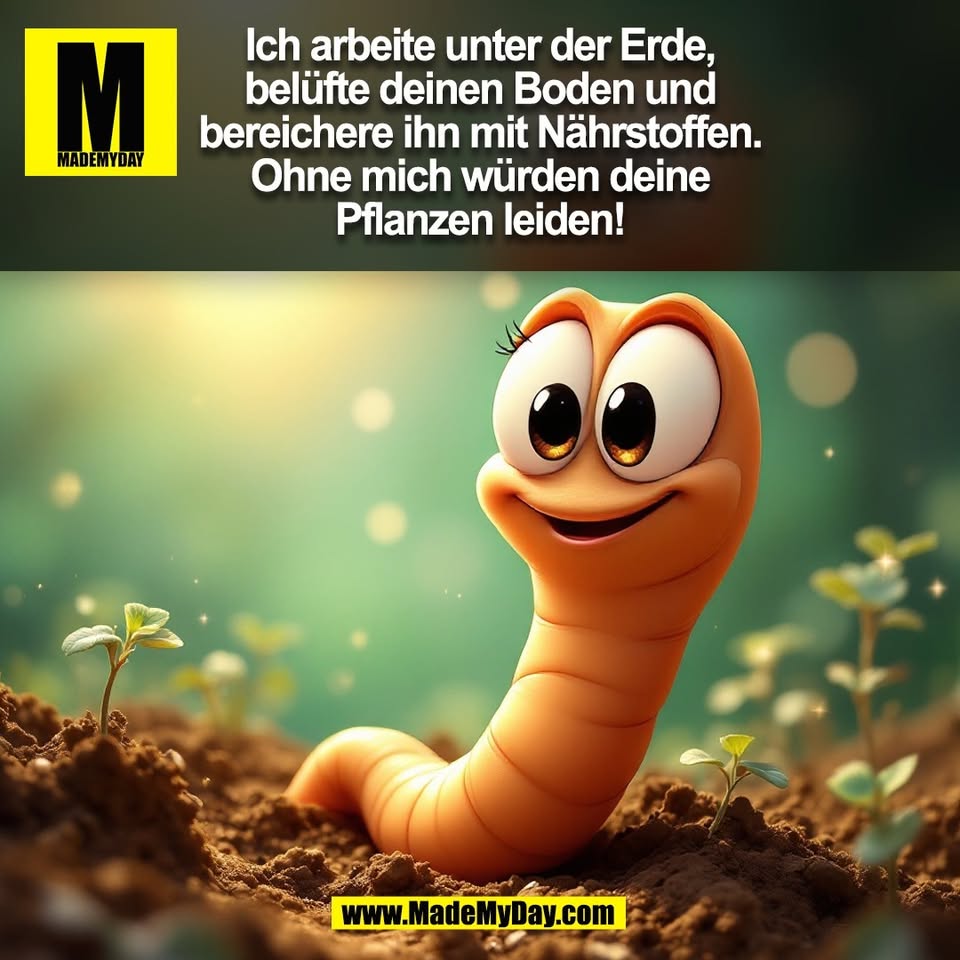 Ich arbeite unter der Erde,<br />
belüfte deinen Boden und<br />
bereichere ihn mit Nährstoffen.<br />
Ohne mich würden deine<br />
Pflanzen leiden!<br />
(BILD)