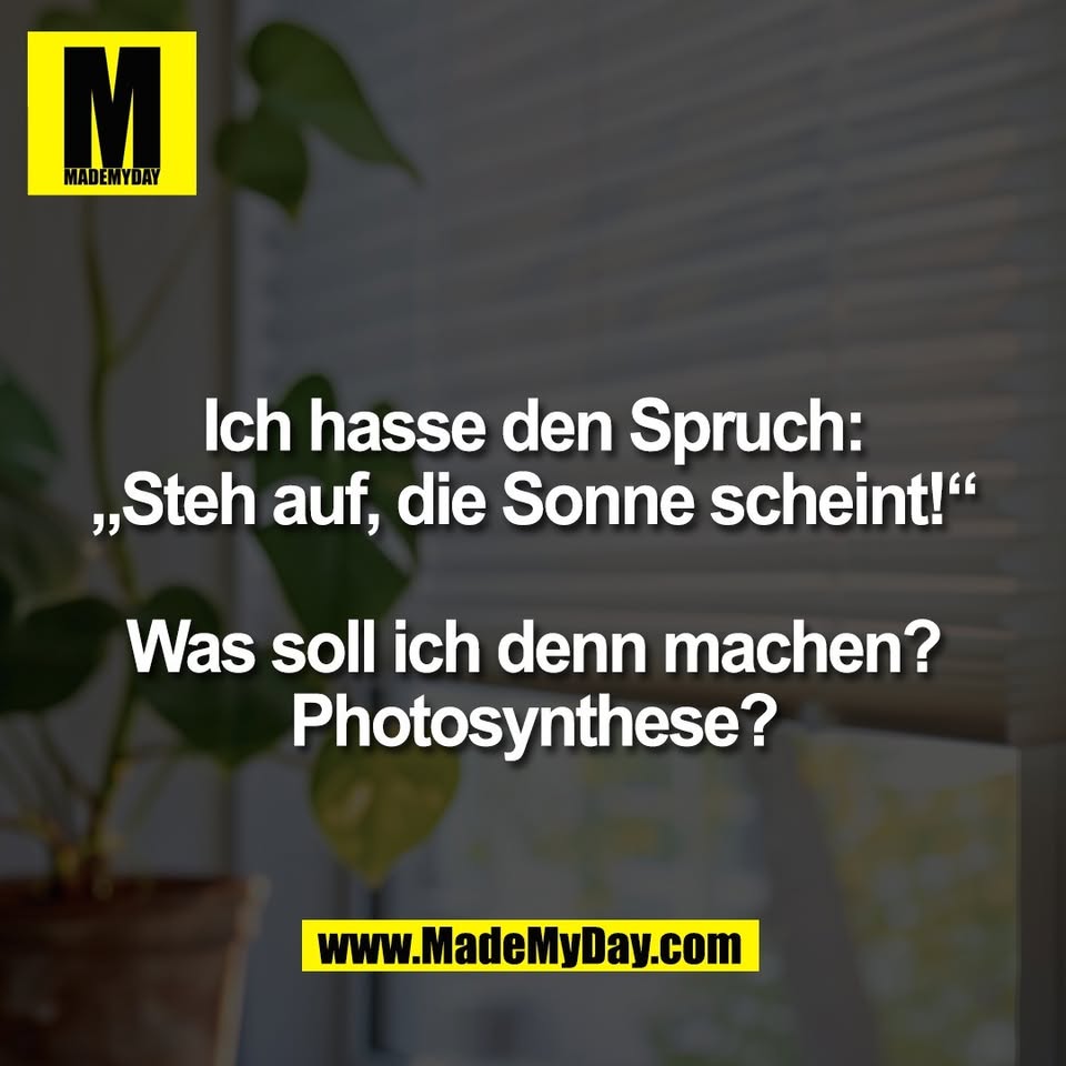 Ich hasse den Spruch:<br />
„Steh auf, die Sonne scheint!“<br />
<br />
Was soll ich denn machen?<br />
Photosynthese?