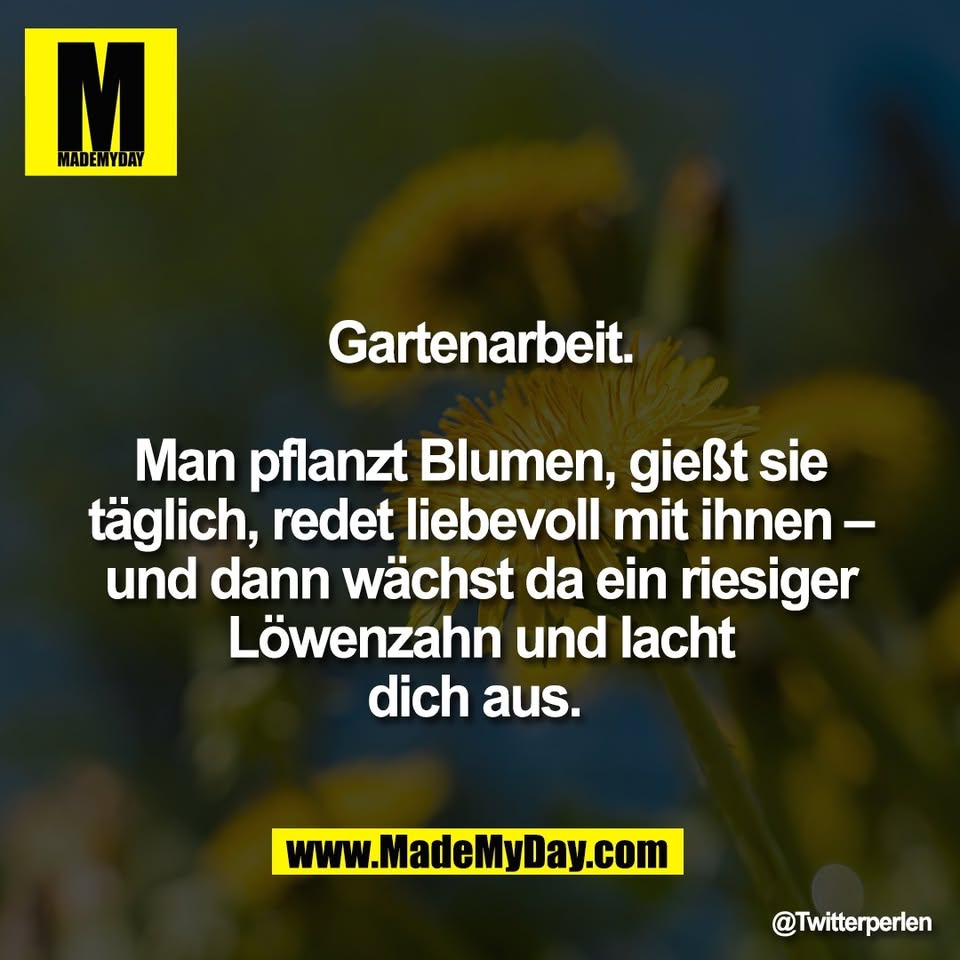 Gartenarbeit.<br />
<br />
Man pflanzt Blumen, gießt sie<br />
täglich, redet liebevoll mit ihnen –<br />
und dann wächst da ein riesiger<br />
Löwenzahn und lacht<br />
dich aus.