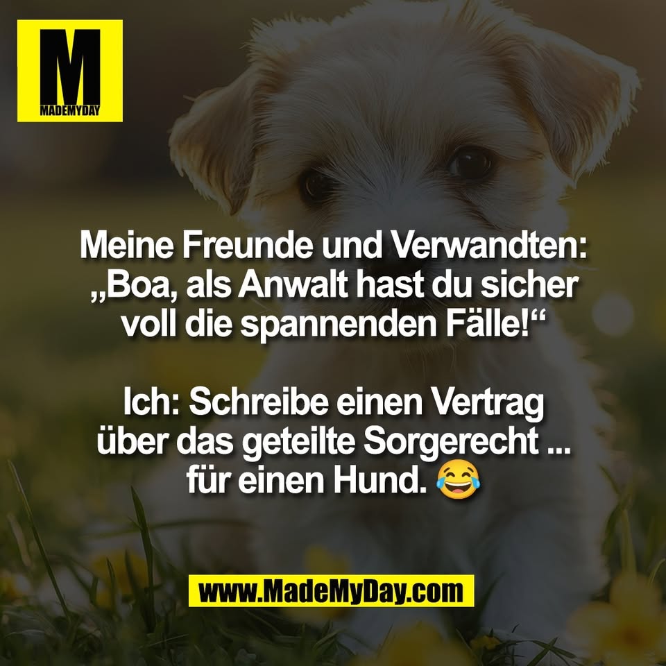 Meine Freunde und Verwandten:<br />
„Boa, als Anwalt hast du sicher<br />
voll die spannenden Fälle!“<br />
<br />
Ich: Schreibe einen Vertrag<br />
über das geteilte Sorgerecht ...<br />
für einen Hund. 😂