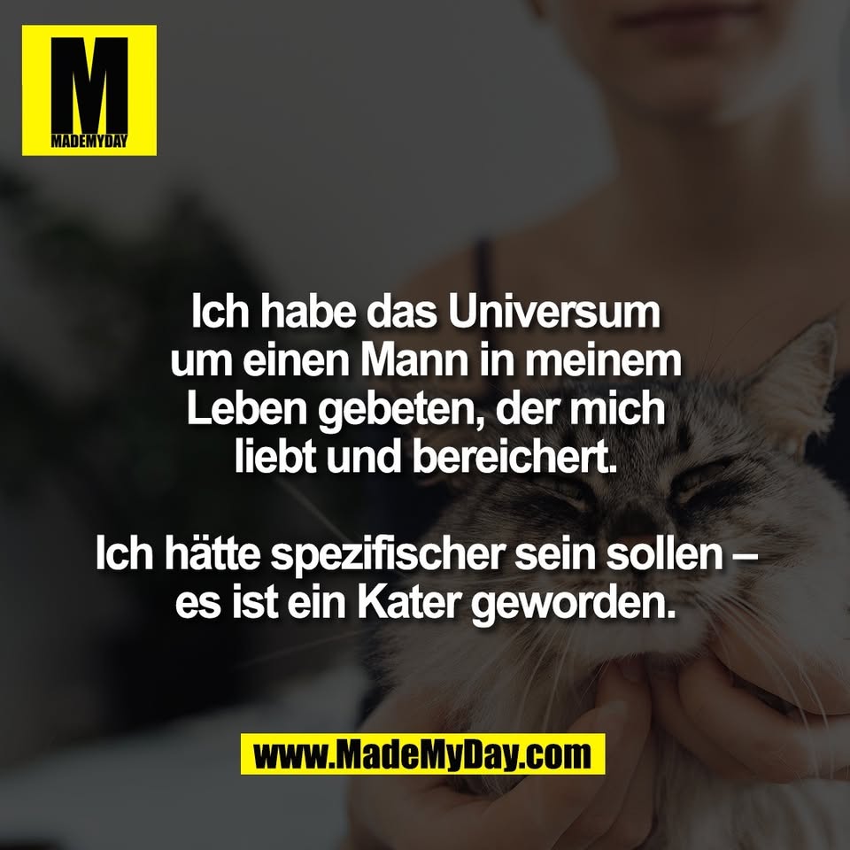 Ich habe das Universum<br />
um einen Mann in meinem<br />
Leben gebeten, der mich<br />
liebt und bereichert.<br />
<br />
Ich hätte spezifischer sein sollen –<br />
es ist ein Kater geworden.