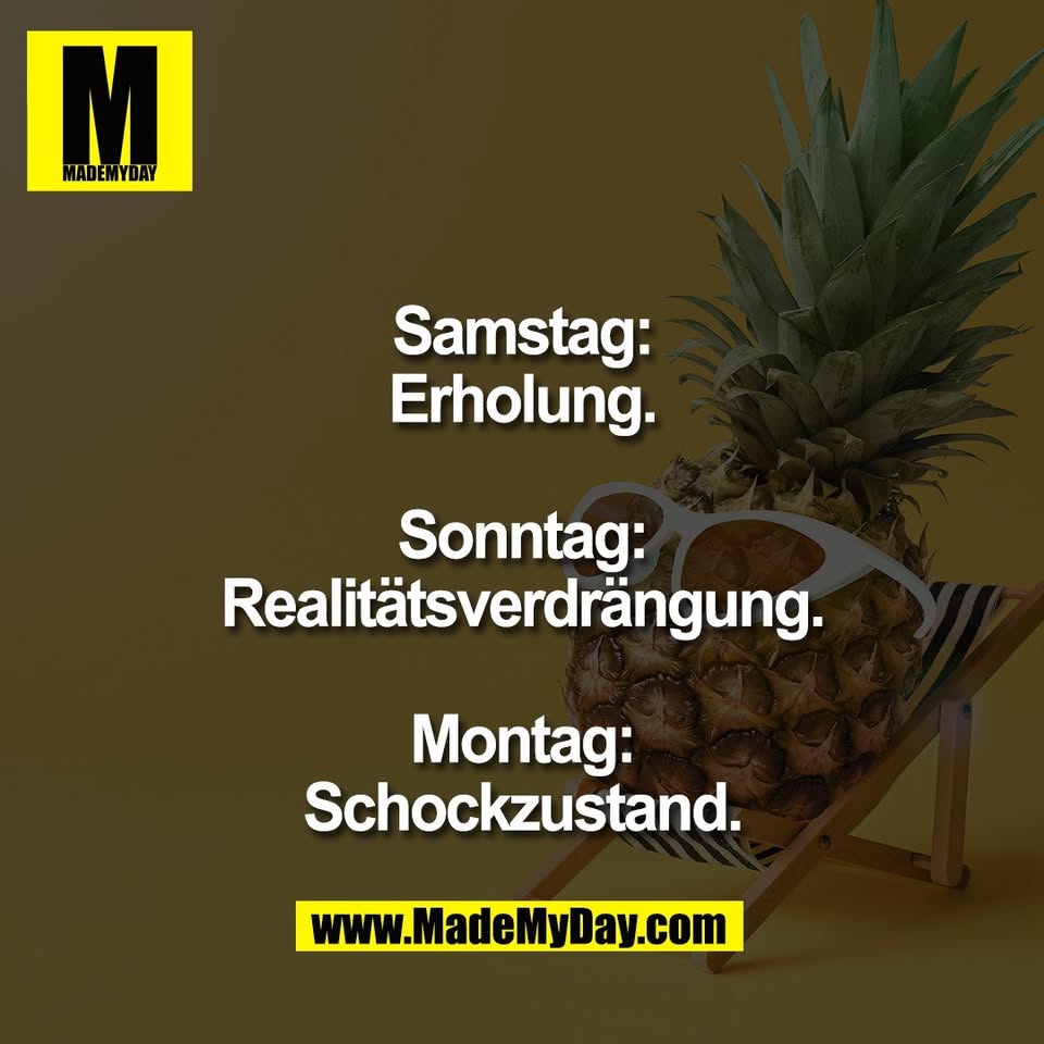 Samstag:<br />
Erholung.<br />
<br />
Sonntag:<br />
Realitätsverdrängung.<br />
<br />
Montag:<br />
Schockzustand.