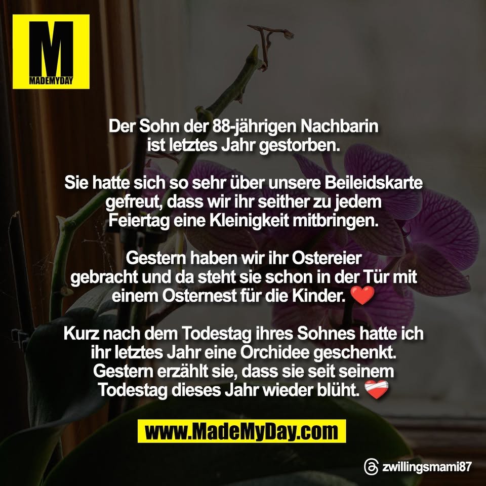 Der Sohn der 88-jährigen Nachbarin<br />
ist letztes Jahr gestorben.<br />
<br />
Sie hatte sich so sehr über unsere Beileidskarte<br />
gefreut, dass wir ihr seither zu jedem<br />
Feiertag eine Kleinigkeit mitbringen.<br />
<br />
Gestern haben wir ihr Ostereier<br />
gebracht und da steht sie schon in der Tür mit<br />
einem Osternest für die Kinder. ❤️<br />
<br />
Kurz nach dem Todestag ihres Sohnes hatte ich<br />
ihr letztes Jahr eine Orchidee geschenkt.<br />
Gestern erzählt sie, dass sie seit seinem<br />
Todestag dieses Jahr wieder blüht. ❤️‍🩹<br />
<br />
Threads: zwillingsmami87