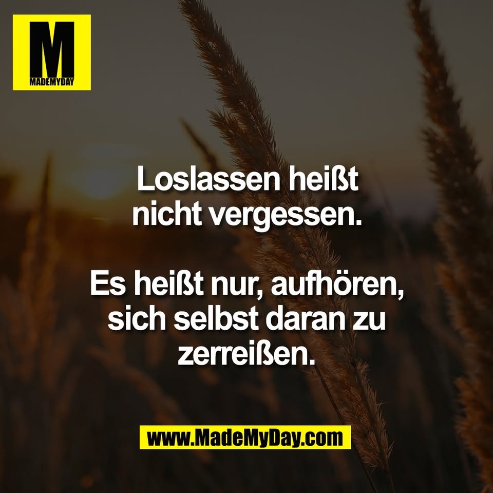 Loslassen heißt<br />
nicht vergessen.<br />
<br />
Es heißt nur, aufhören,<br />
sich selbst daran zu<br />
zerreißen.