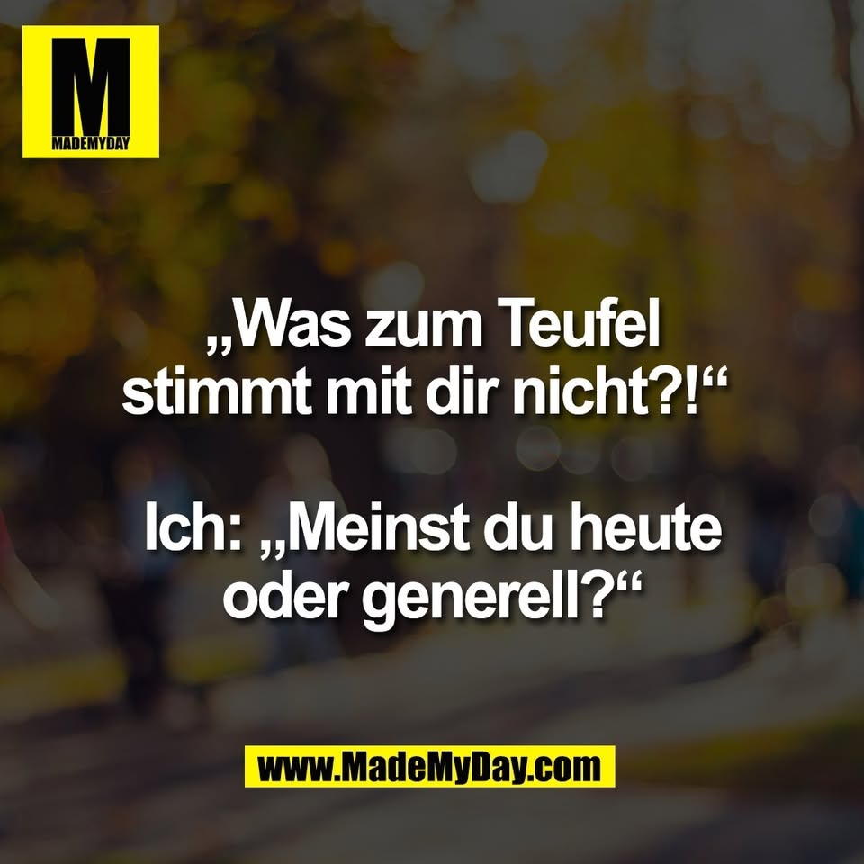 „Was zum Teufel<br />
stimmt mit dir nicht?!“ <br />
<br />
Ich: „Meinst du heute<br />
oder generell?“