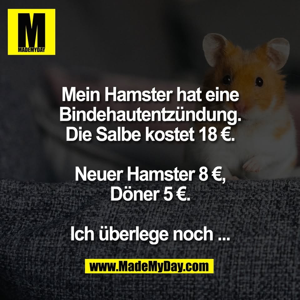 Mein Hamster hat eine<br />
Bindehautentzündung.<br />
Die Salbe kostet 18 €.<br />
<br />
Neuer Hamster 8 €,<br />
Döner 5 €.<br />
<br />
Ich überlege noch ...