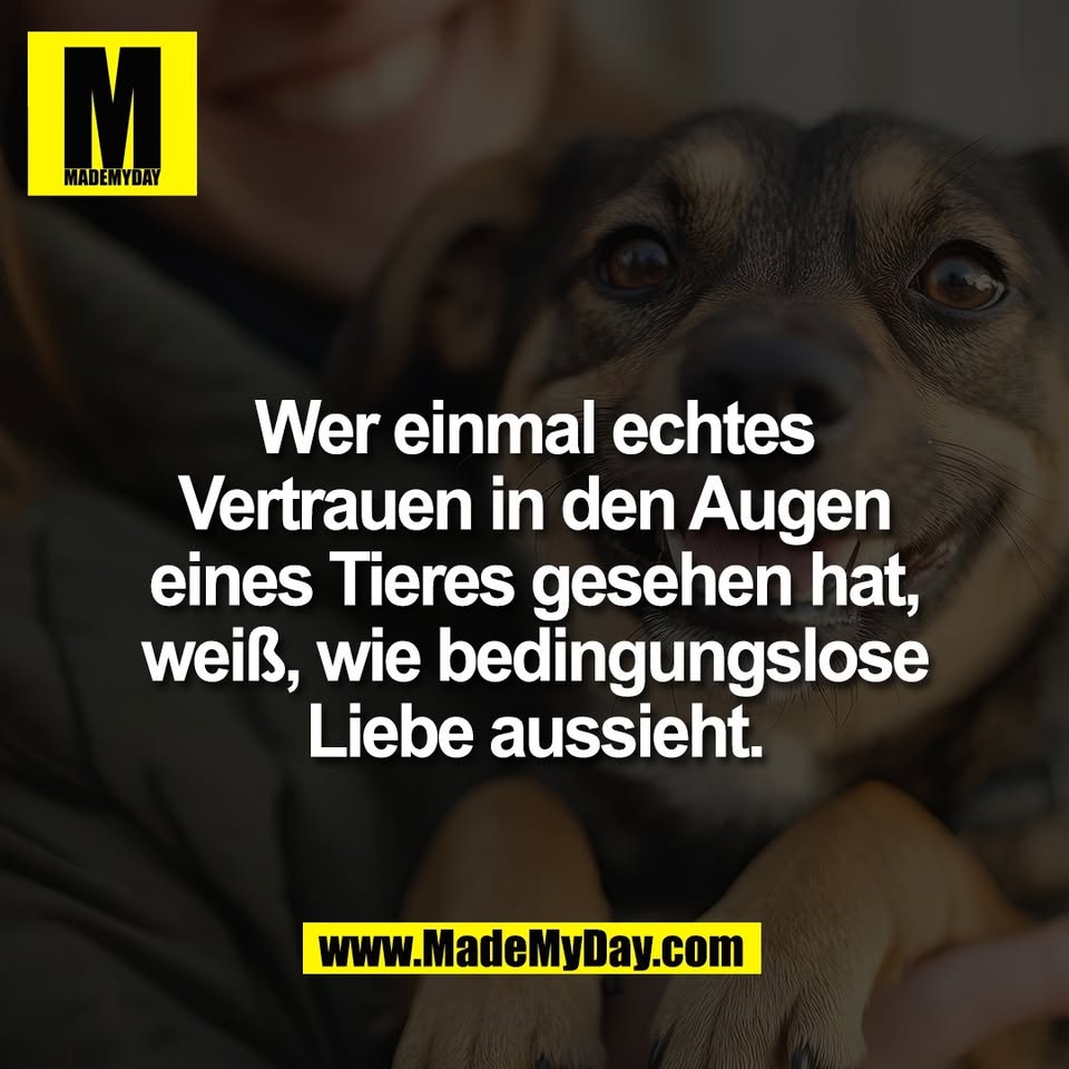 Wer einmal echtes<br />
Vertrauen in den Augen<br />
eines Tieres gesehen hat,<br />
weiß, wie bedingungslose<br />
Liebe aussieht.