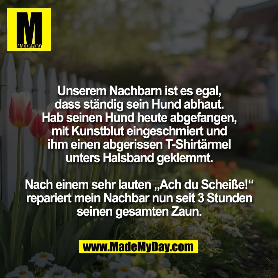 Unserem Nachbarn ist es egal,<br />
dass ständig sein Hund abhaut.<br />
Hab seinen Hund heute abgefangen,<br />
mit Kunstblut eingeschmiert und<br />
ihm einen abgerissen T-Shirtärmel<br />
unters Halsband geklemmt.<br />
<br />
Nach einem sehr lauten „Ach du Scheiße!“<br />
repariert mein Nachbar nun seit 3 Stunden<br />
seinen gesamten Zaun.