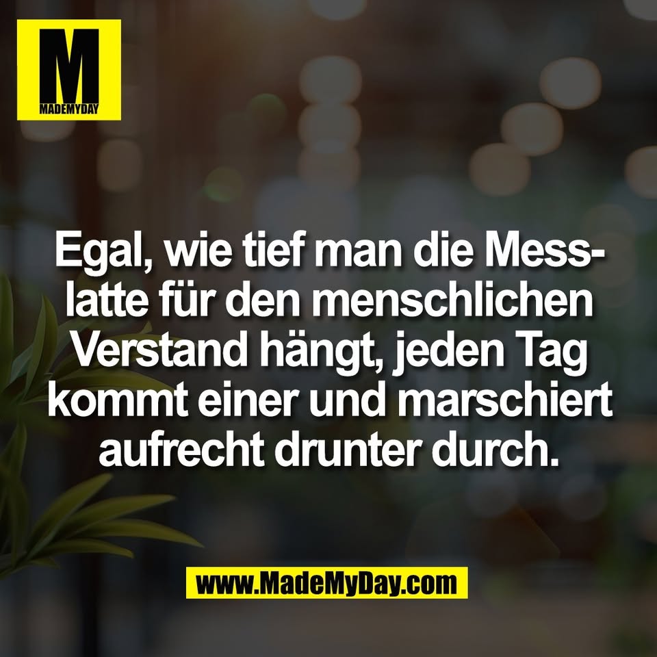 Egal, wie tief man die Mess-<br />
latte für den menschlichen<br />
Verstand hängt, jeden Tag<br />
kommt einer und marschiert<br />
aufrecht drunter durch.