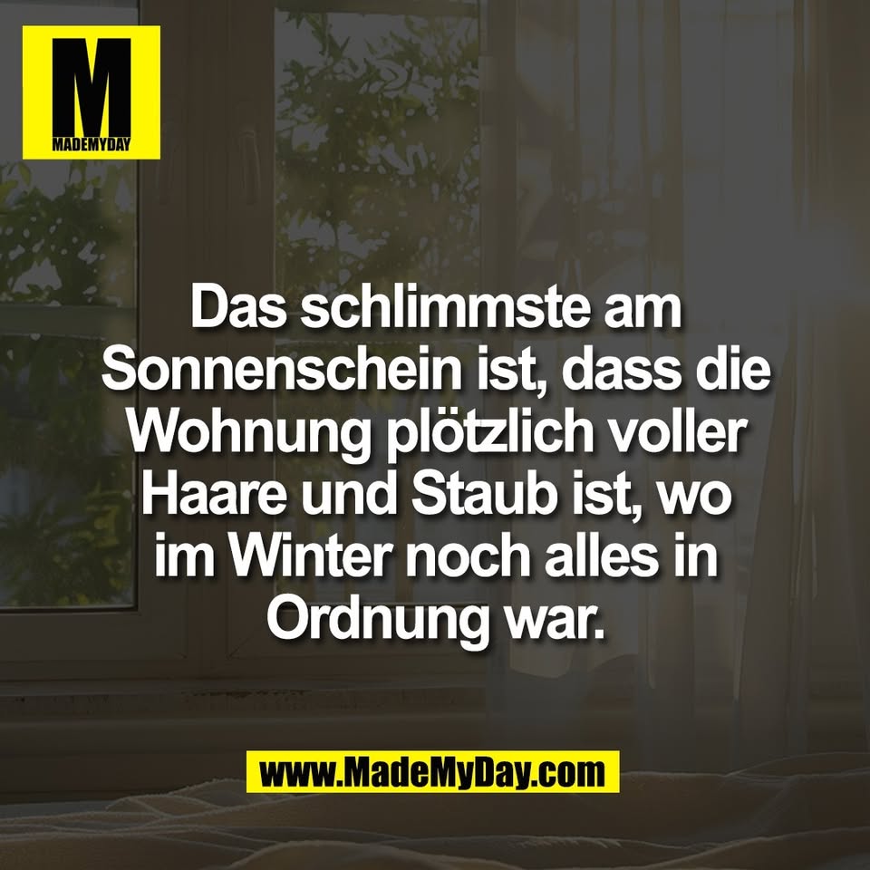 Das schlimmste am<br />
Sonnenschein ist, dass die<br />
Wohnung plötzlich voller<br />
Haare und Staub ist, wo<br />
im Winter noch alles in<br />
Ordnung war.