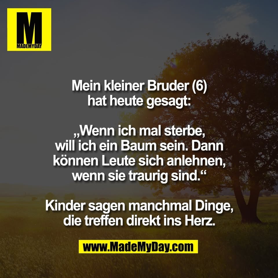 Mein kleiner Bruder (6)<br />
hat heute gesagt:<br />
<br />
„Wenn ich mal sterbe,<br />
will ich ein Baum sein. Dann<br />
können Leute sich anlehnen,<br />
wenn sie traurig sind.“<br />
<br />
Kinder sagen manchmal Dinge,<br />
die treffen direkt ins Herz.
