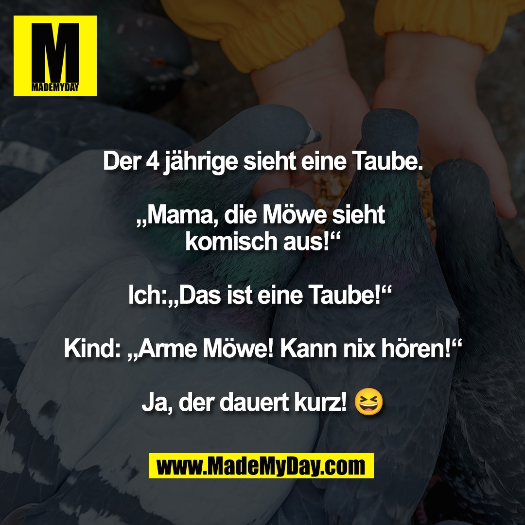 Der 4 jährige sieht eine Taube.<br />
<br />
„Mama, die Möwe sieht <br />
komisch aus!“<br />
<br />
Ich:„Das ist eine Taube!“ <br />
<br />
Kind: „Arme Möwe! Kann nix hören!“<br />
<br />
Ja, der dauert kurz! 😆