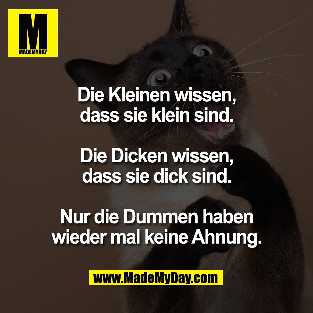 Die Kleinen wissen,<br />
dass sie klein sind.<br />
<br />
Die Dicken wissen,<br />
dass sie dick sind.<br />
<br />
Nur die Dummen haben<br />
wieder mal keine Ahnung.