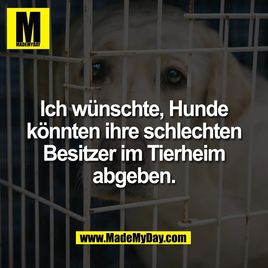 Ich wünschte, Hunde<br />
könnten ihre schlechten<br />
Besitzer im Tierheim<br />
abgeben.
