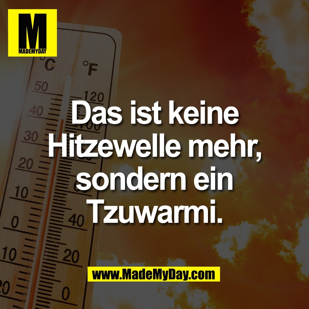 Das ist keine<br />
Hitzewelle mehr,<br />
sondern ein<br />
Tzuwarmi.