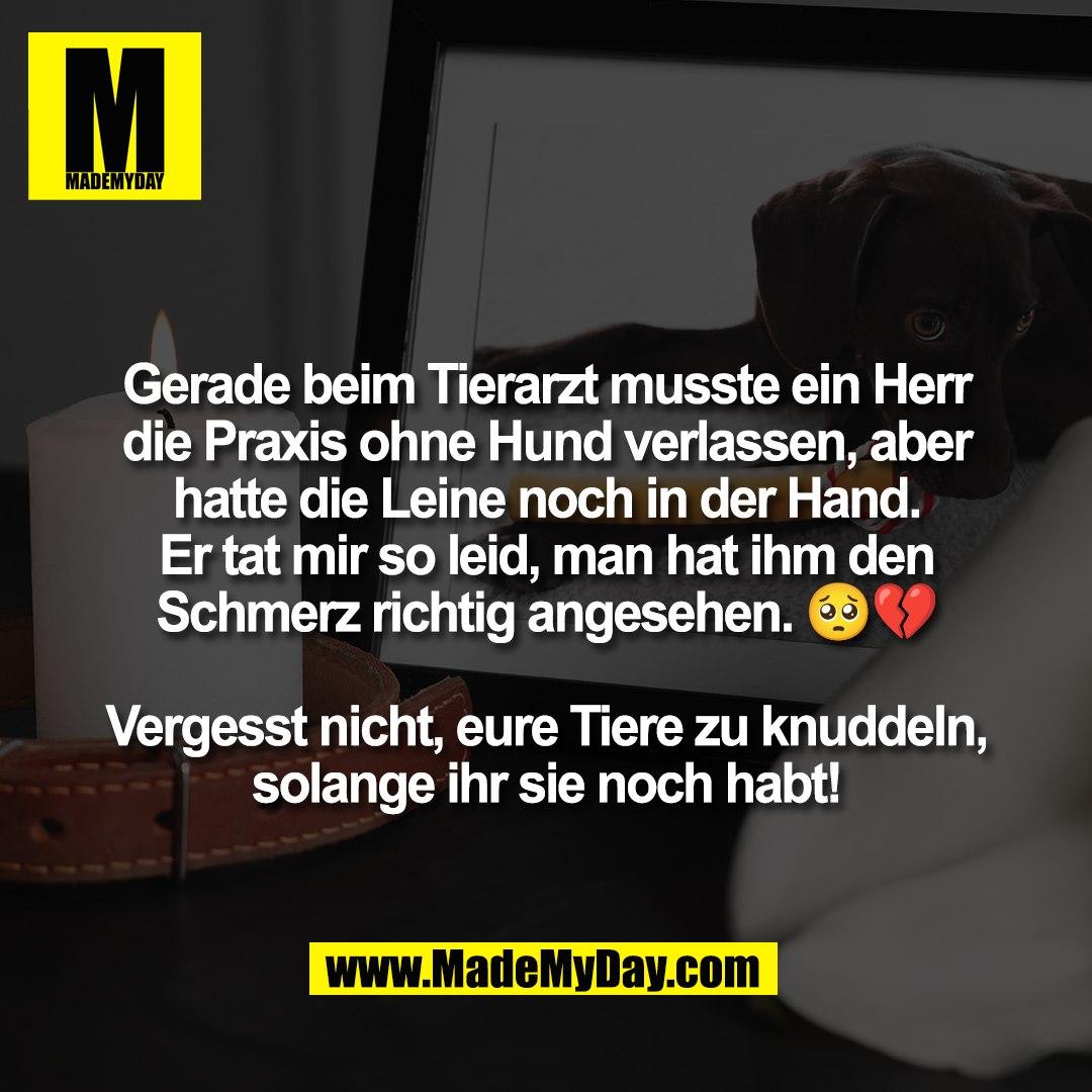 Gerade beim Tierarzt musste ein Herr<br />
die Praxis ohne Hund verlassen, aber<br />
hatte die Leine noch in der Hand.<br />
Er tat mir so leid, man hat ihm den<br />
Schmerz richtig angesehen. 🥺💔<br />
<br />
Vergesst nicht, eure Tiere zu knuddeln,<br />
solange ihr sie noch habt!
