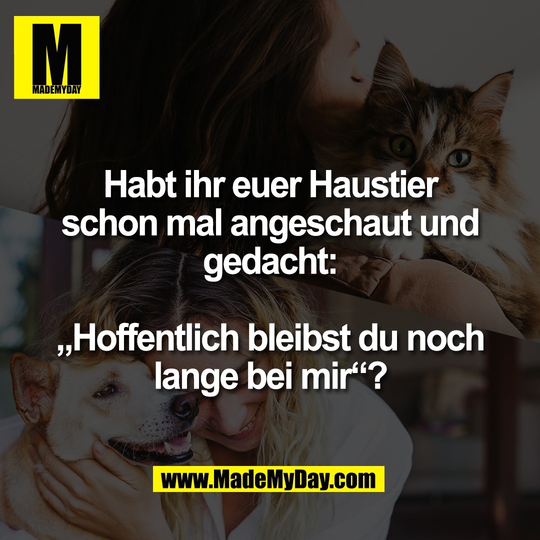 Habt ihr euer Haustier<br />
schon mal angeschaut und<br />
gedacht:<br />
<br />
„Hoffentlich bleibst du noch<br />
lange bei mir“?