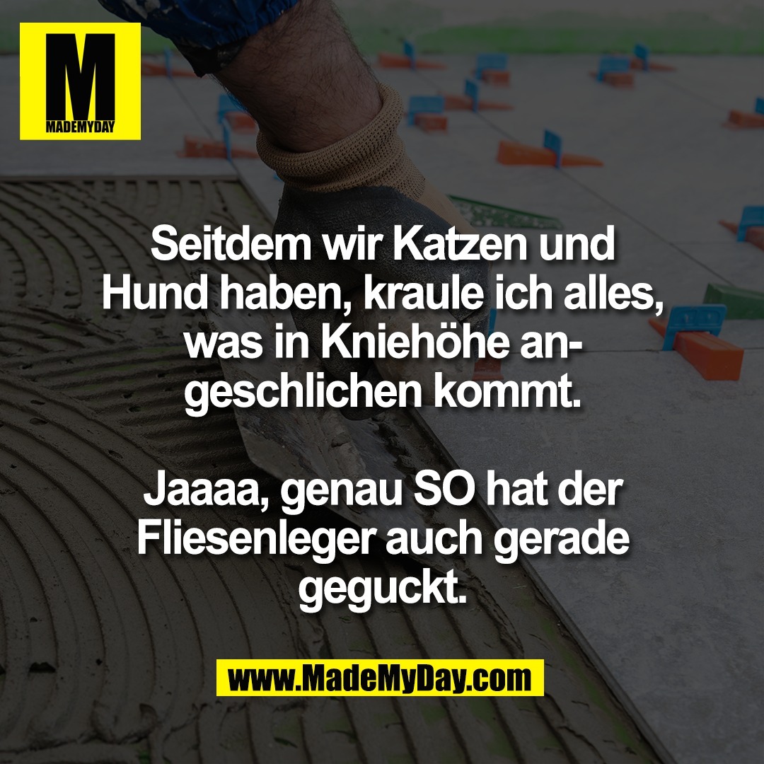 Seitdem wir Katzen und<br />
Hund haben, kraule ich alles,<br />
was in Kniehöhe an-<br />
geschlichen kommt.<br />
<br />
Jaaaa, genau SO hat der<br />
Fliesenleger auch gerade<br />
geguckt.