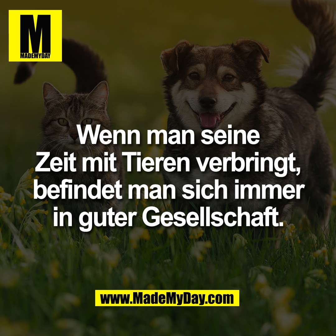 Wenn man seine<br />
Zeit mit Tieren verbringt,<br />
befindet man sich immer<br />
in guter Gesellschaft.