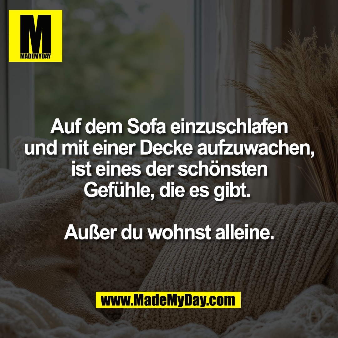 Auf dem Sofa einzuschlafen<br />
und mit einer Decke aufzuwachen,<br />
ist eines der schönsten<br />
Gefühle, die es gibt. <br />
<br />
Außer du wohnst alleine.