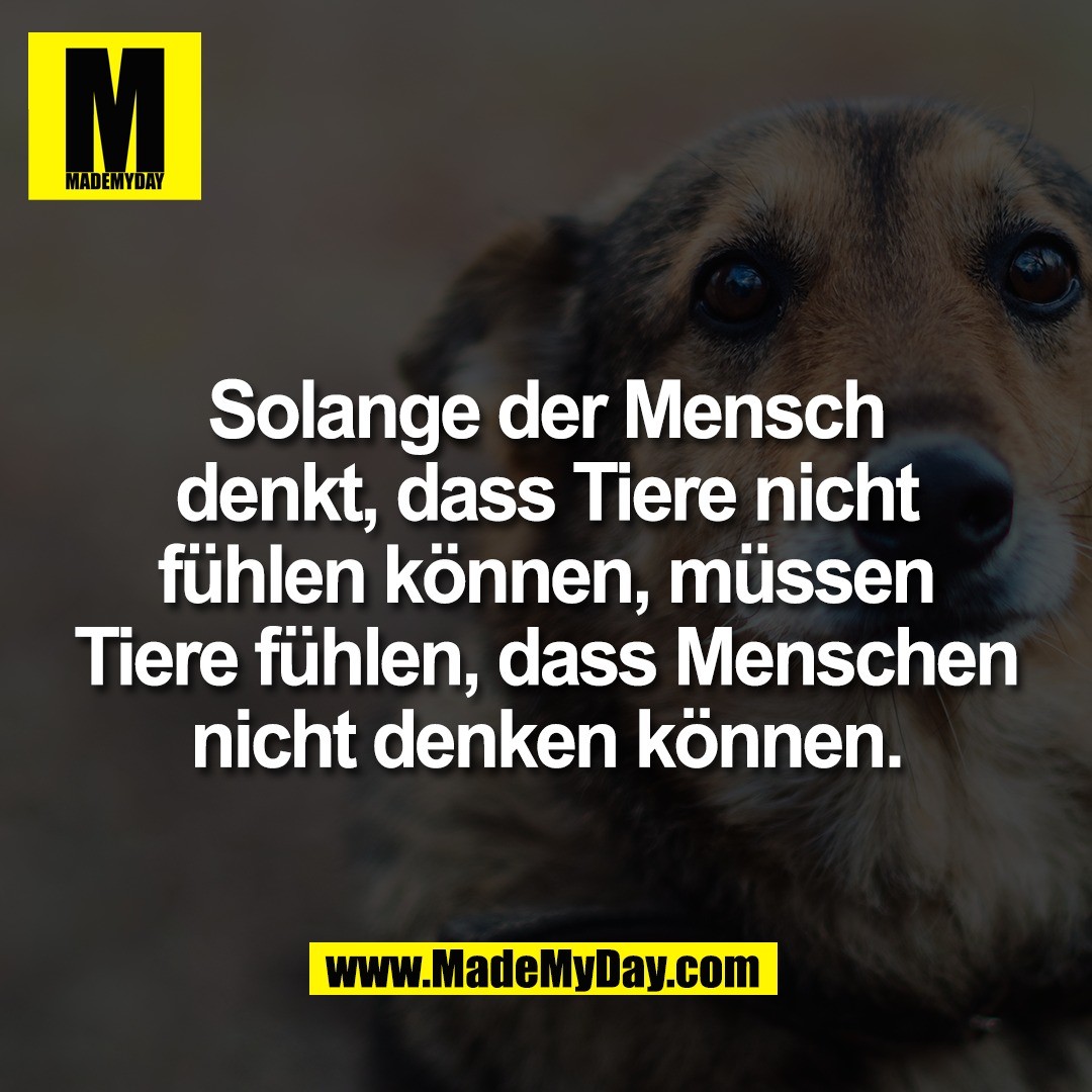 Solange der Mensch<br />
denkt, dass Tiere nicht<br />
fühlen können, müssen<br />
Tiere fühlen, dass Menschen<br />
nicht denken können.