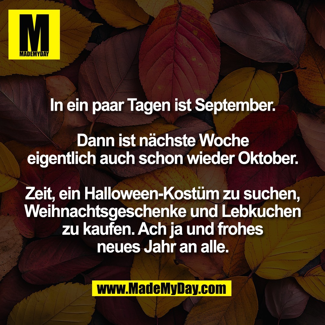 In ein paar Tagen ist September.<br />
<br />
Dann ist nächste Woche<br />
eigentlich auch schon wieder Oktober.<br />
<br />
Zeit, ein Halloween-Kostüm zu suchen,<br />
Weihnachtsgeschenke und Lebkuchen<br />
zu kaufen. Ach ja und frohes<br />
neues Jahr an alle.