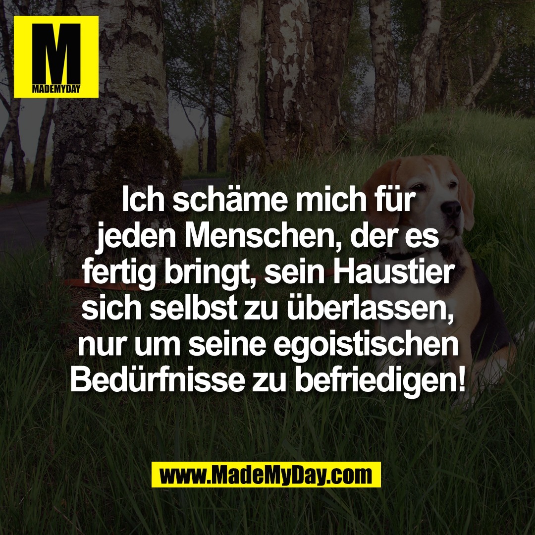 Ich schäme mich für<br />
jeden Menschen, der es<br />
fertig bringt, sein Haustier<br />
sich selbst zu überlassen,<br />
nur um seine egoistischen<br />
Bedürfnisse zu befriedigen!