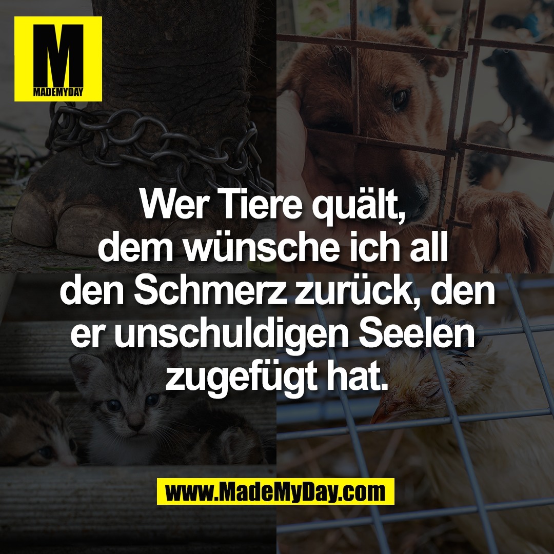 Wer Tiere quält, <br />
dem wünsche ich all <br />
den Schmerz zurück, den<br />
er unschuldigen Seelen <br />
zugefügt hat.