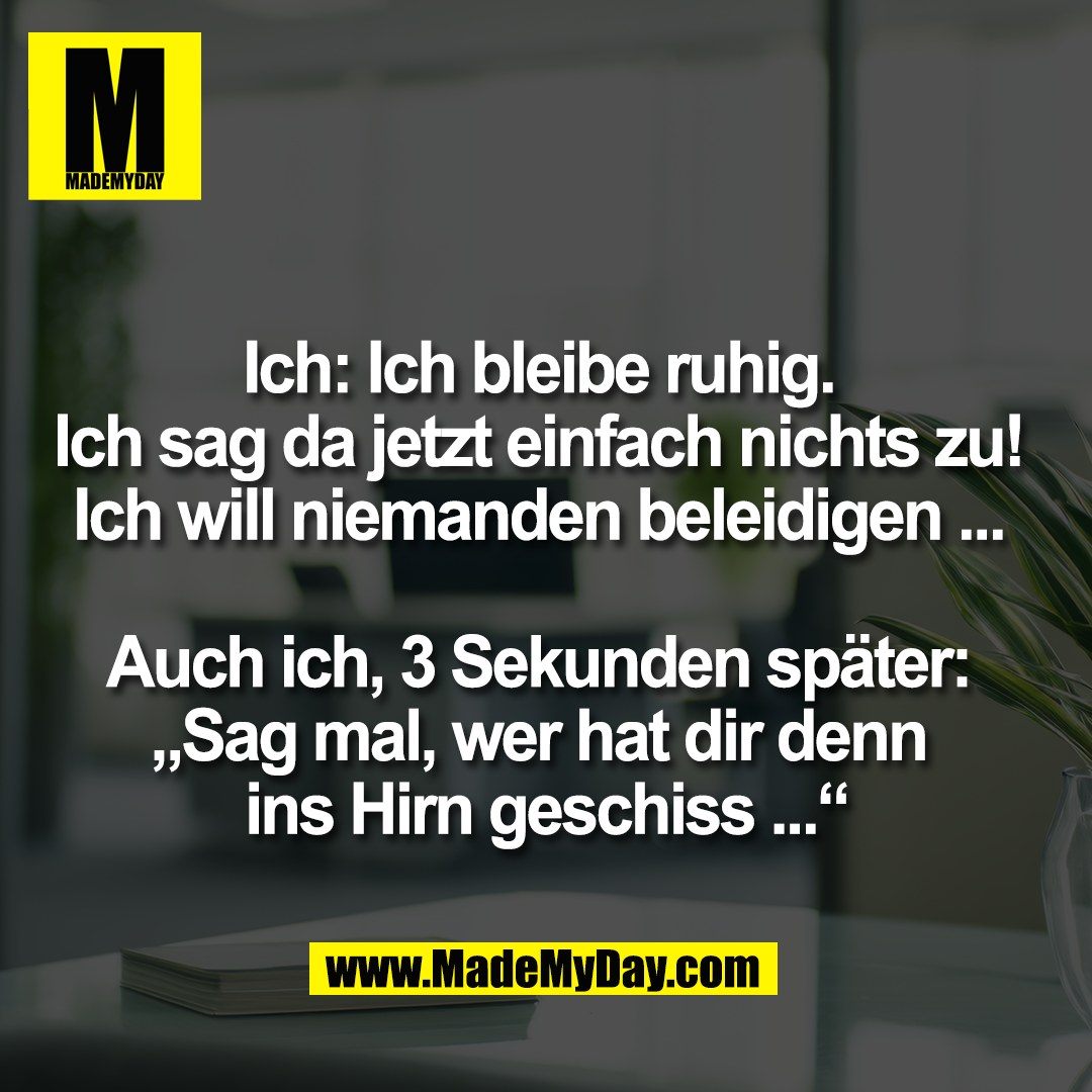 Ich: Ich bleibe ruhig. <br />
Ich sag da jetzt einfach nichts zu! <br />
Ich will niemanden beleidigen ... <br />
<br />
Auch ich, 3 Sekunden später: <br />
„Sag mal, wer hat dir denn <br />
ins Hirn geschiss ...“