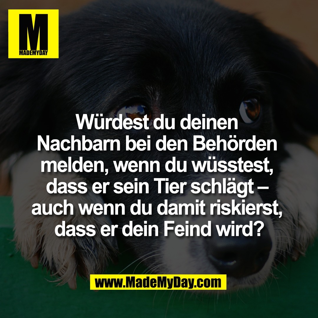 Würdest du deinen <br />
Nachbarn bei den Behörden <br />
melden, wenn du wüsstest, <br />
dass er sein Tier schlägt – <br />
auch wenn du damit riskierst, <br />
dass er dein Feind wird?