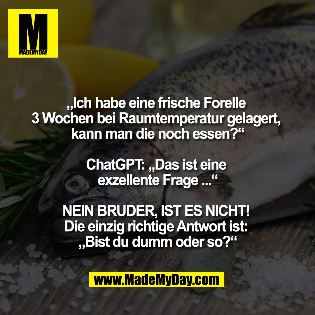 „Ich habe eine frische Forelle <br />
3 Wochen bei Raumtemperatur gelagert, <br />
kann man die noch essen?“<br />
<br />
ChatGPT: „Das ist eine <br />
exzellente Frage ...“<br />
<br />
NEIN BRUDER, IST ES NICHT! <br />
Die einzig richtige Antwort ist: <br />
„Bist du dumm oder so?“