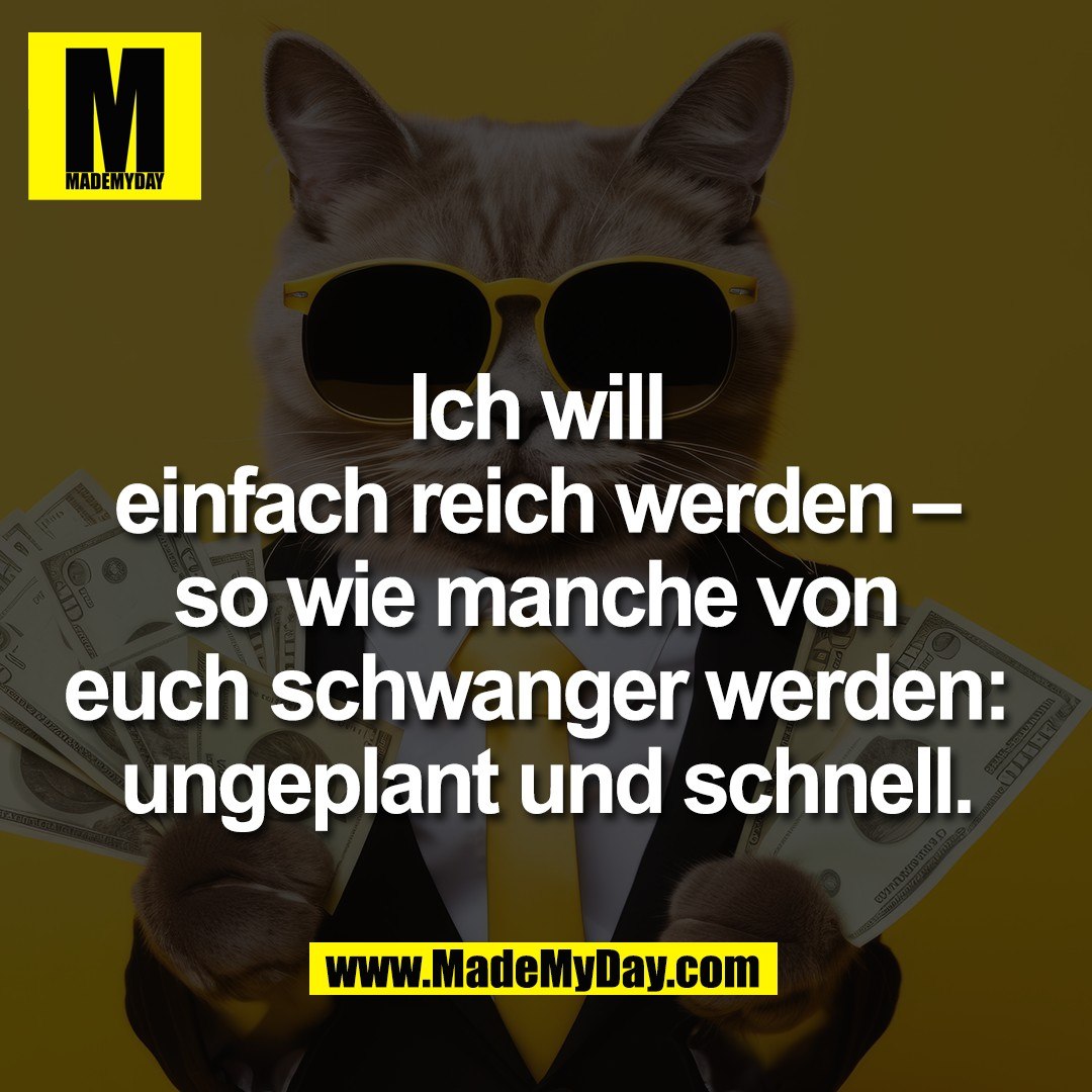 Ich will <br />
einfach reich werden – <br />
so wie manche von <br />
euch schwanger werden: <br />
ungeplant und schnell.