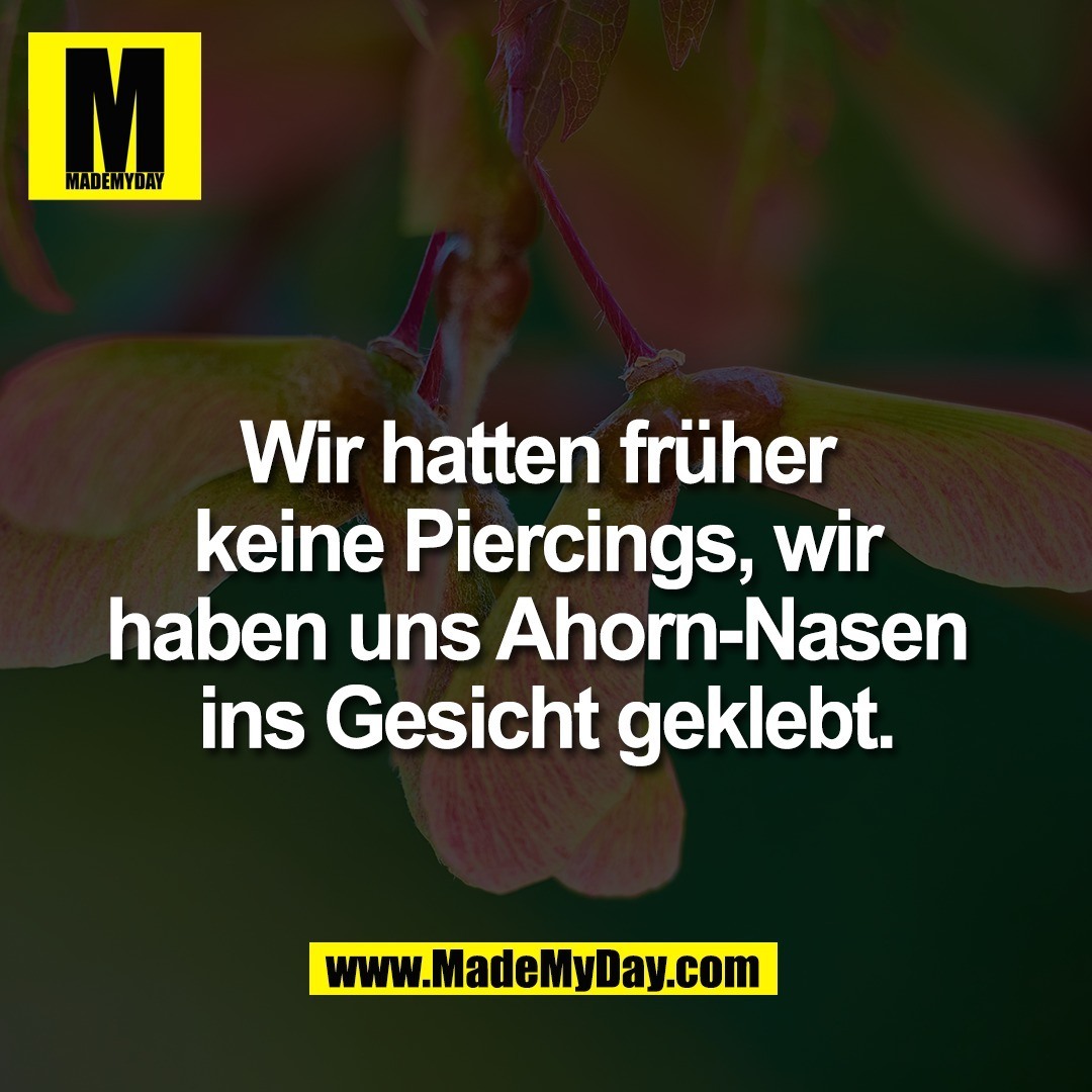 Wir hatten früher <br />
keine Piercings, wir <br />
haben uns Ahorn-Nasen <br />
ins Gesicht geklebt.