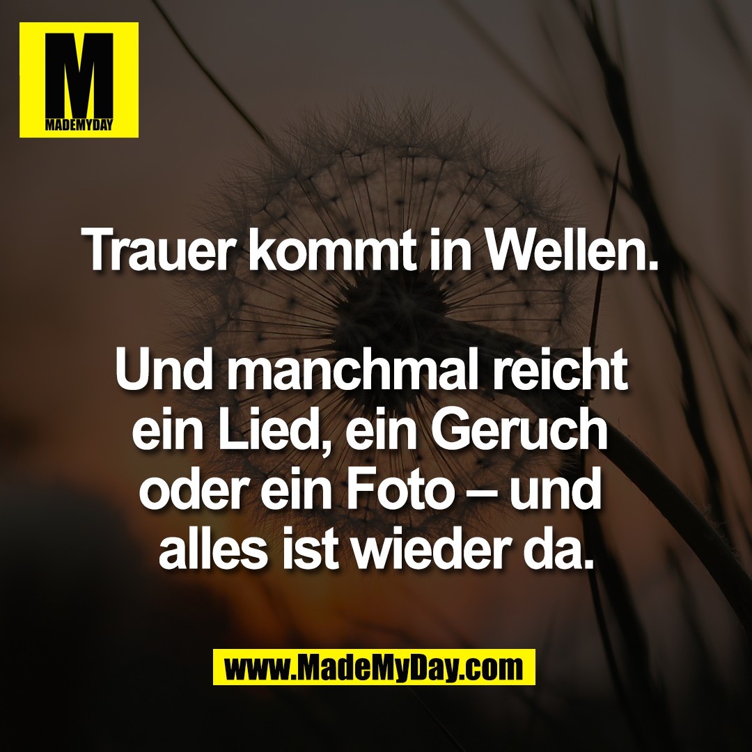 Trauer kommt in Wellen. <br />
<br />
Und manchmal reicht <br />
ein Lied, ein Geruch <br />
oder ein Foto – und <br />
alles ist wieder da.