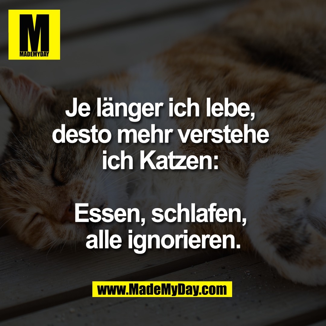 Je länger ich lebe, <br />
desto mehr verstehe <br />
ich Katzen: <br />
<br />
Essen, schlafen, <br />
alle ignorieren.