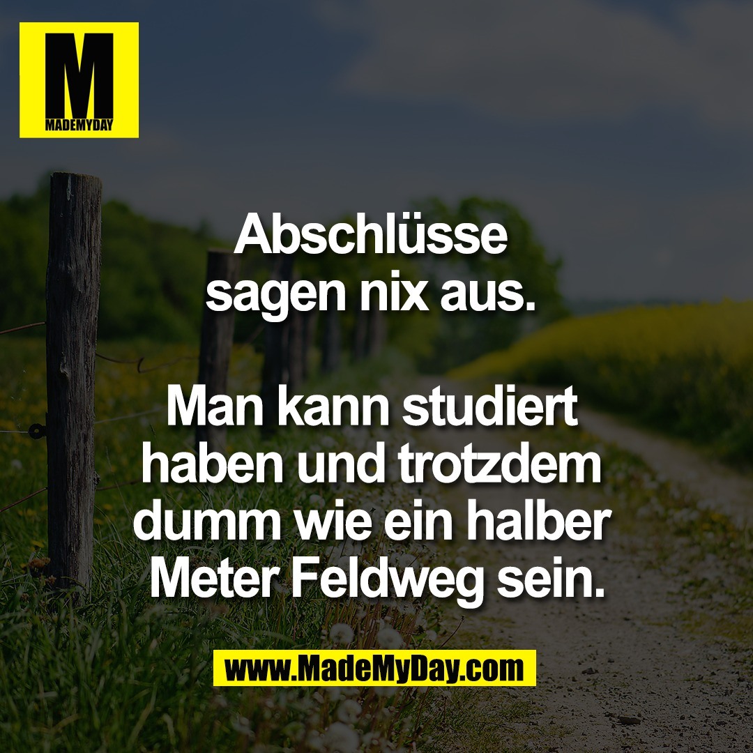 Abschlüsse <br />
sagen nix aus. <br />
<br />
Man kann studiert <br />
haben und trotzdem <br />
dumm wie ein halber <br />
Meter Feldweg sein.