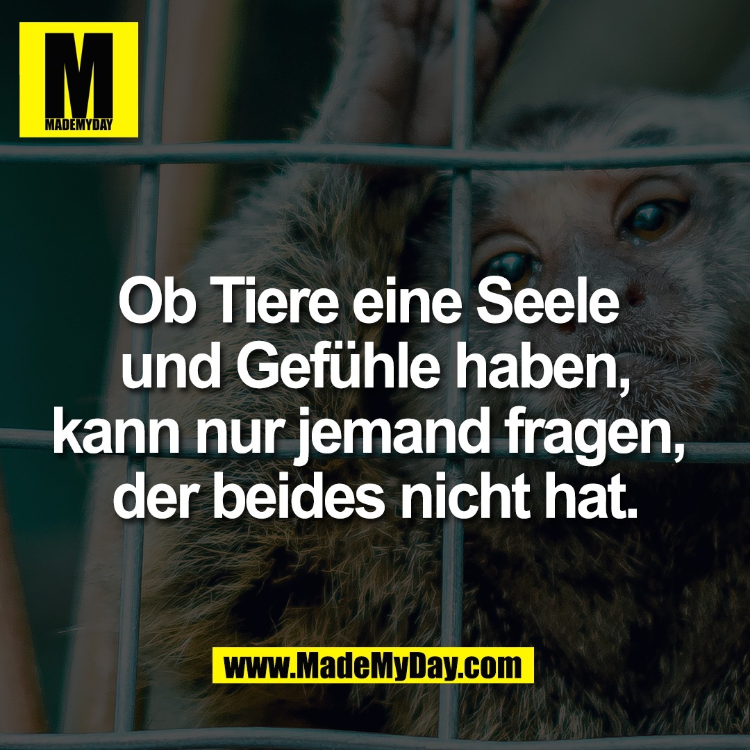 Ob Tiere eine Seele <br />
und Gefühle haben, kann <br />
nur jemand fragen, der <br />
beides nicht hat.