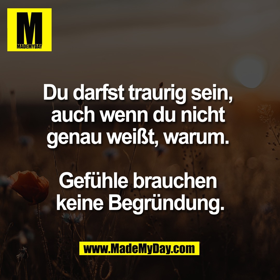 Du darfst traurig sein, <br />
auch wenn du nicht <br />
genau weißt, warum. <br />
<br />
Gefühle brauchen <br />
keine Begründung.
