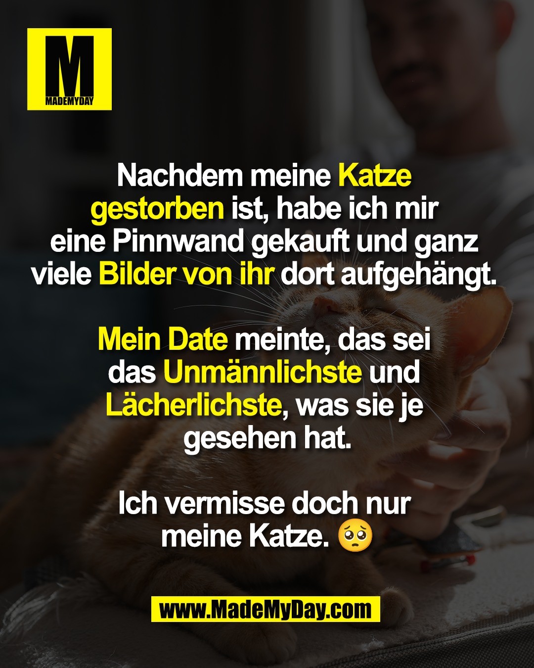 Nachdem meine Katze <br />
gestorben ist, habe ich mir <br />
eine Pinnwand gekauft und ganz <br />
viele Bilder von ihr dort aufgehängt. <br />
<br />
Mein Date meinte, das sei <br />
das Unmännlichste und <br />
Lächerlichste, was sie je <br />
gesehen hat.<br />
<br />
Ich vermisse doch nur <br />
meine Katze. 🥺