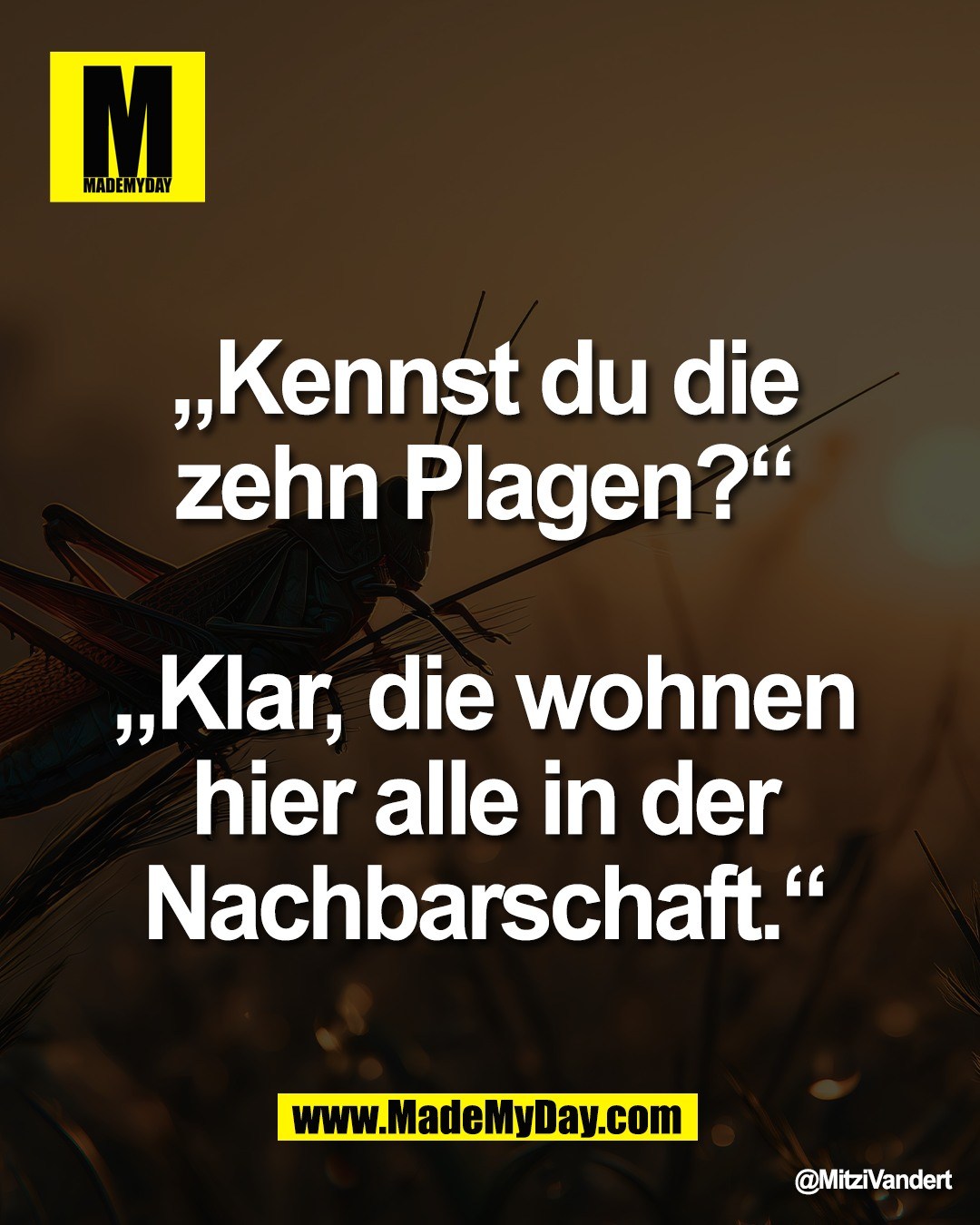 „Kennst du die <br />
zehn Plagen?“ <br />
<br />
„Klar, die wohnen <br />
hier alle in der <br />
Nachbarschaft.“ 