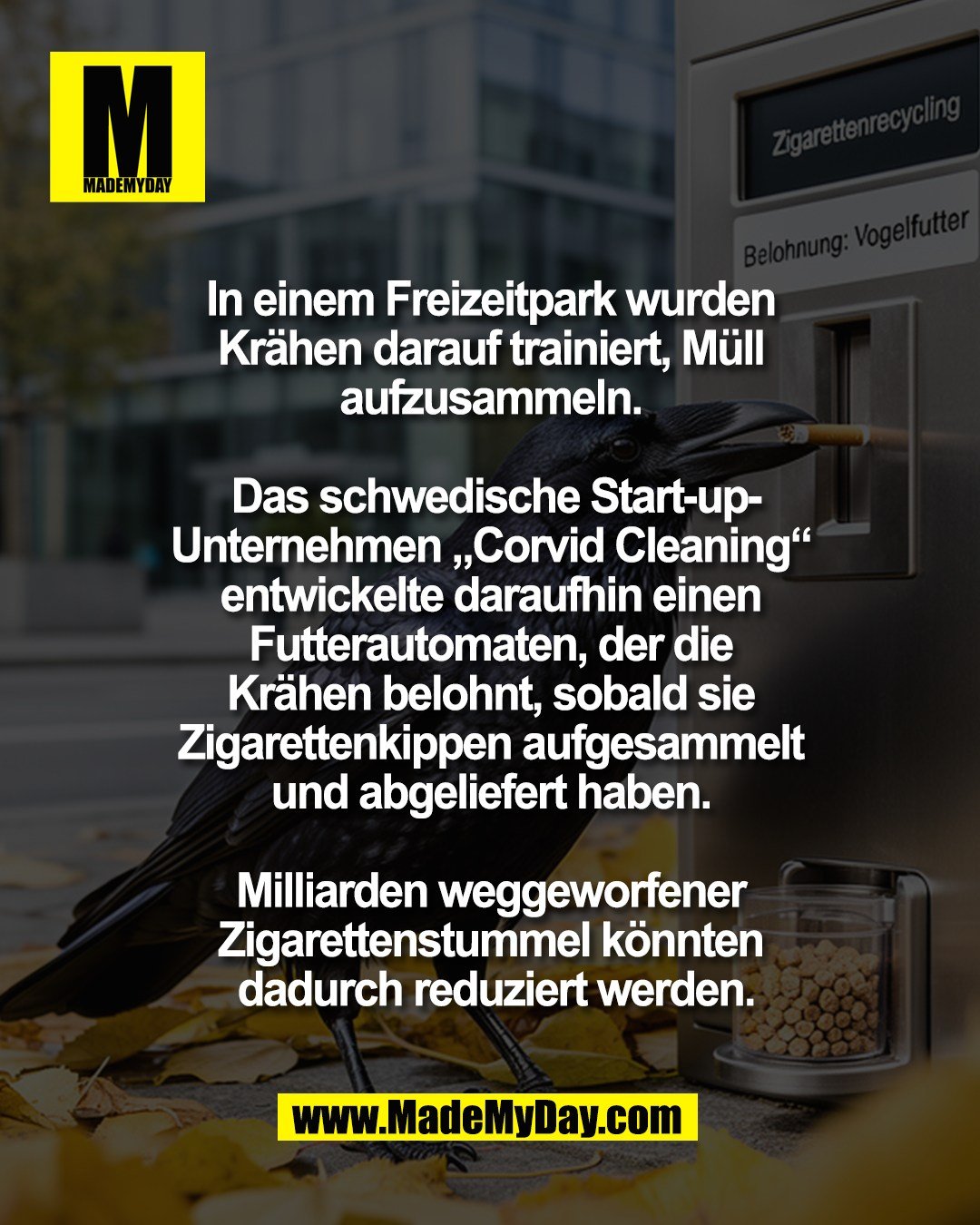 In einem Freizeitpark wurden <br />
Kr&auml;hen darauf trainiert, M&uuml;ll <br />
aufzusammeln. <br />
<br />
Das schwedische Start-up-<br />
Unternehmen &bdquo;Corvid Cleaning&ldquo; <br />
entwickelte daraufhin einen <br />
Futterautomaten, der die <br />
Kr&auml;hen belohnt, sobald sie <br />
Zigarettenkippen aufgesammelt <br />
und abgeliefert haben. <br />
<br />
Milliarden weggeworfener <br />
Zigarettenstummel k&ouml;nnten <br />
dadurch reduziert werden.