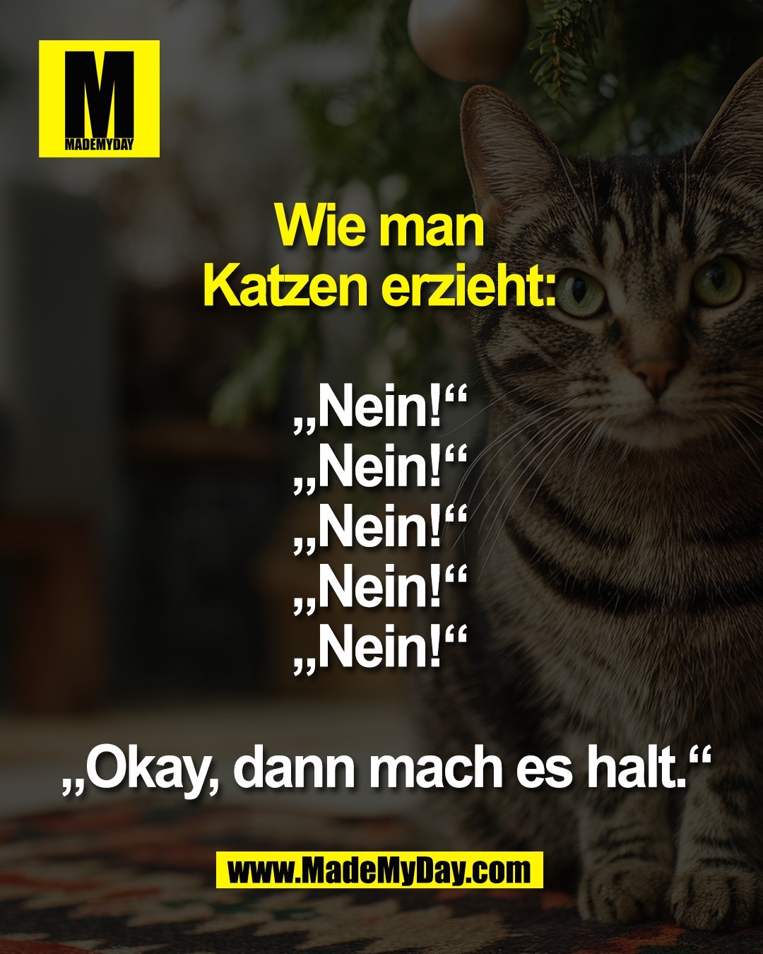 Wie man <br />
Katzen erzieht: <br />
<br />
&bdquo;Nein!&ldquo; <br />
&bdquo;Nein!&ldquo; <br />
&bdquo;Nein!&ldquo; <br />
&bdquo;Nein!&ldquo; <br />
&bdquo;Nein!&ldquo; <br />
<br />
&bdquo;Okay, dann mach es halt.&ldquo;