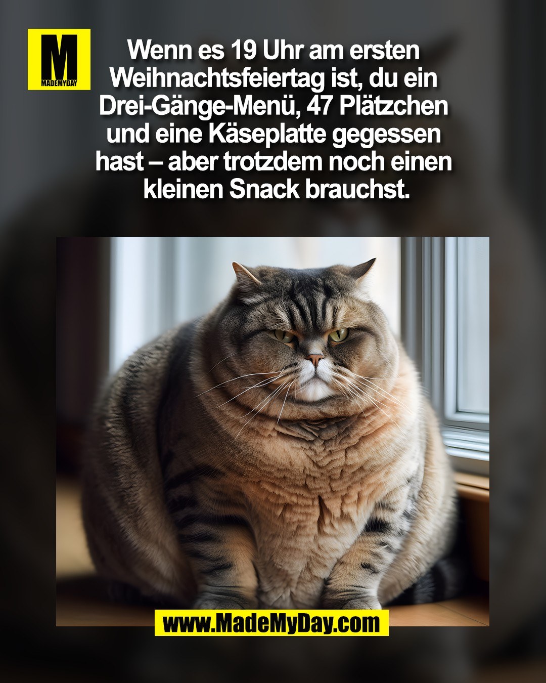 Wenn es 19 Uhr am ersten <br />
Weihnachtsfeiertag ist, du ein <br />
Drei-G&auml;nge-Men&uuml;, 47 Pl&auml;tzchen <br />
und eine K&auml;seplatte gegessen <br />
hast &ndash; aber trotzdem noch einen <br />
kleinen Snack brauchst.<br />
(BILD)