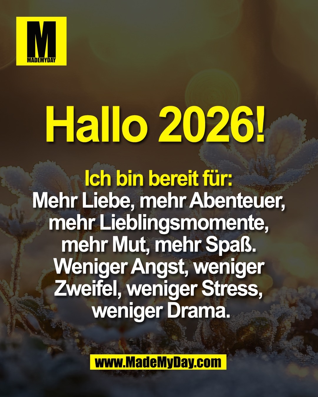Hallo 2026! <br />
<br />
Ich bin bereit f&uuml;r: <br />
Mehr Liebe, mehr Abenteuer, <br />
mehr Lieblingsmomente, <br />
mehr Mut, mehr Spa&szlig;. <br />
Weniger Angst, weniger <br />
Zweifel, weniger Stress, <br />
weniger Drama.